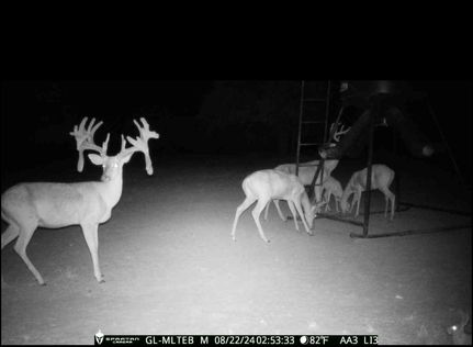 Property in Brown County, Texas