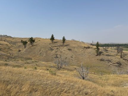 Property in Petroleum County, Montana