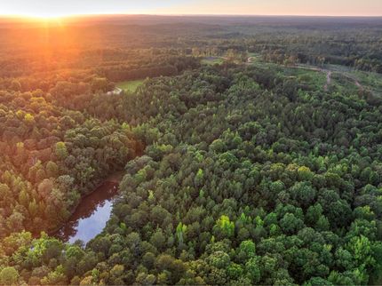 Property for sale in Union County, Mississippi