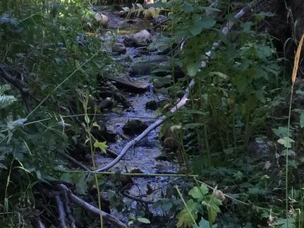 Property in Carbon County, Wyoming