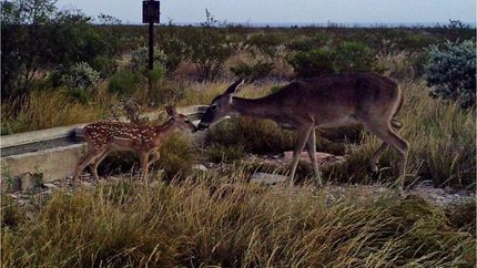 Property in Val Verde County, Texas