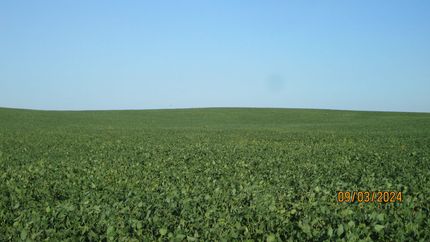 Property in Pierce County, Nebraska