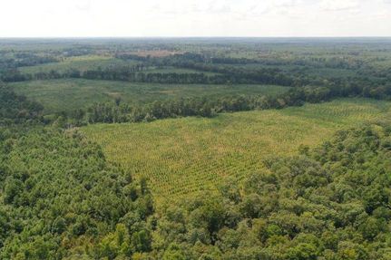 Timberland Property for sale in Cass County, Texas