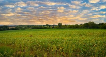 Property for sale in Lincoln County, Missouri