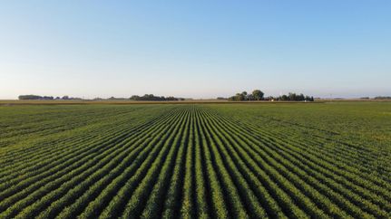 Property in Nicollet County, Minnesota