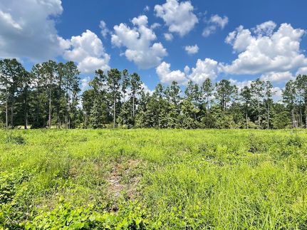 Property for sale in Dillon County, South Carolina