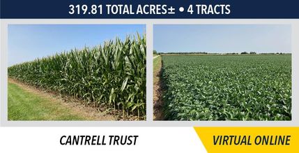 Property in DeWitt County, Illinois