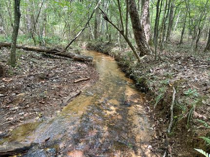 Property in Kemper County, Mississippi