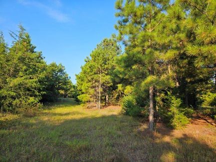 Property for sale in Cass County, Texas