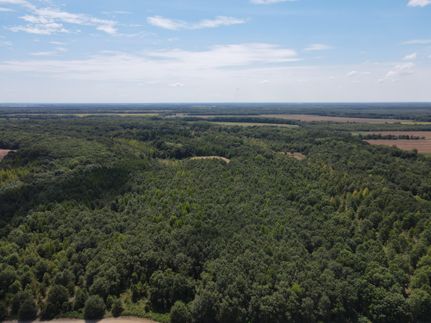 Property in Quitman County, Mississippi