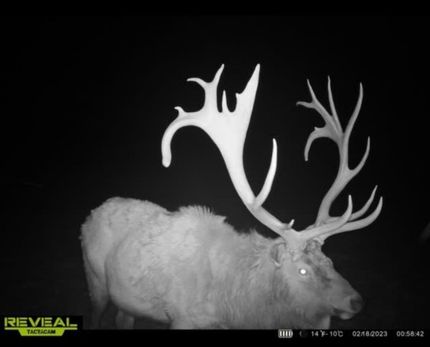 Property in Clearfield County, Pennsylvania