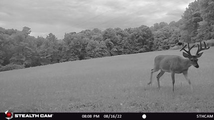 Property in Jefferson County, Pennsylvania