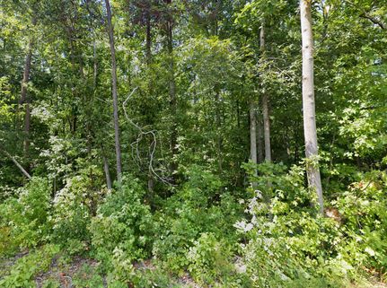 Property in Louisa County, Virginia