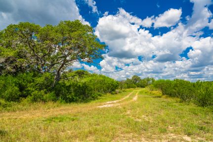 Undeveloped Land for sale in Bee County, Texas