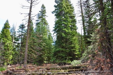 Recreational Property for sale in Modoc County, California