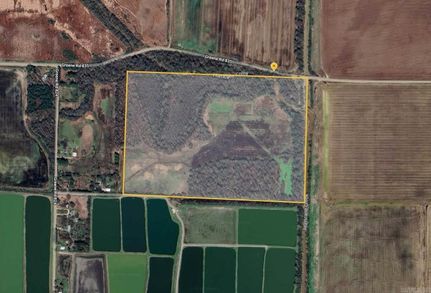 Undeveloped Land for sale in Greene County, Arkansas