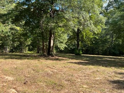 Property in Wilcox County, Alabama