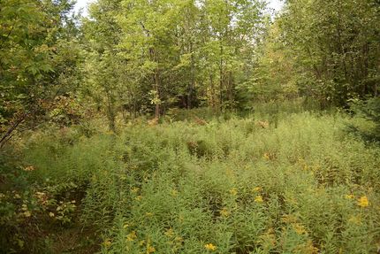 Property in Marinette County, Wisconsin