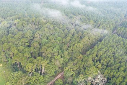 Property in Saint Helena Parish, Louisiana