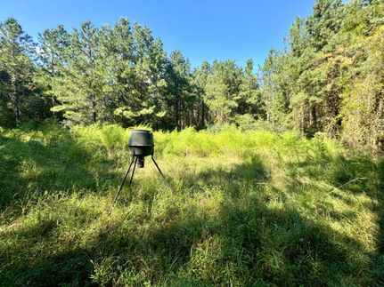 Property in Hancock County, Mississippi