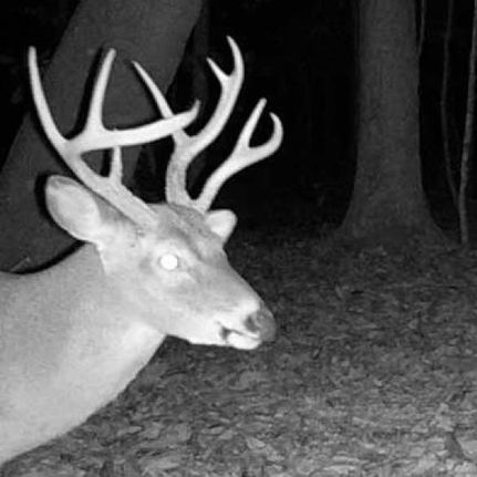 Property in Coffee County, Alabama