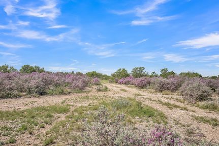 Hunting Land for sale in Val Verde County, Texas