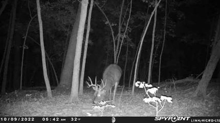 Property in Carroll County, Arkansas