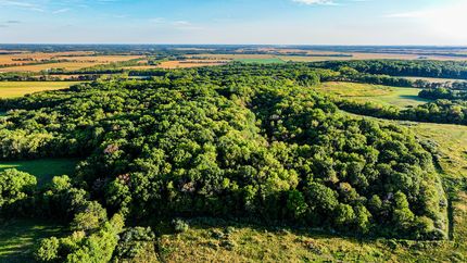 Property in Shelby County, Illinois