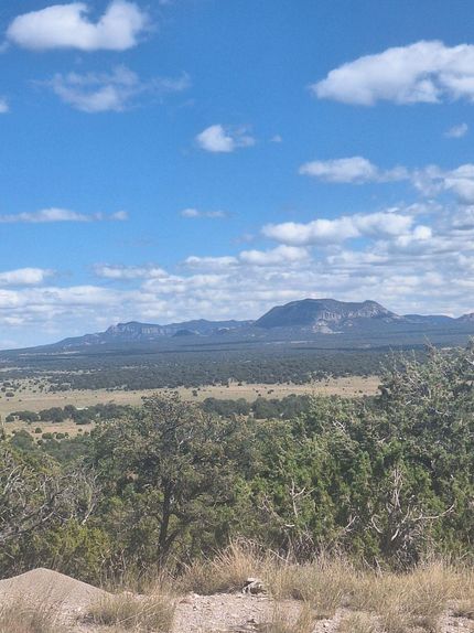 Property for sale in Catron County, New Mexico