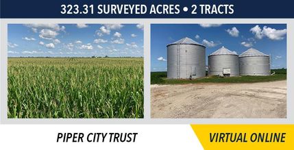 Property in Ford County, Illinois