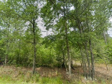 Property in Dorchester County, South Carolina