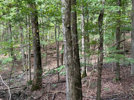 Property in Johnson County, Illinois