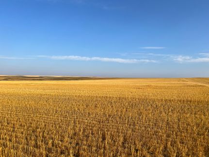 Property in Hettinger County, North Dakota