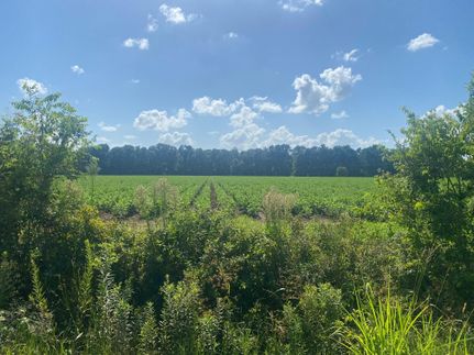 Property in Franklin Parish, Louisiana