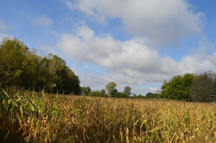 Property in Lucas County, Ohio
