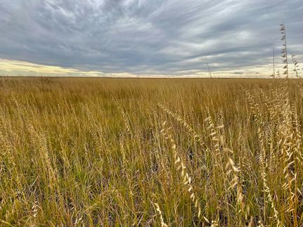 Property in Kiowa County, Colorado