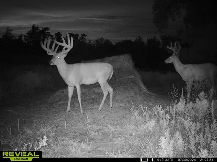 Property in Kiowa County, Kansas