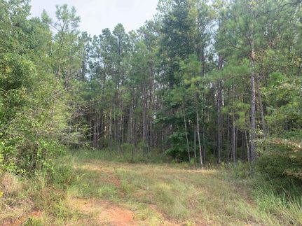 Property for sale in Pike County, Alabama