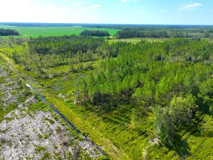 Property in Atkinson County, Georgia