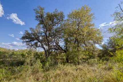 Property for sale in Medina County, Texas