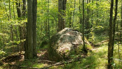 Property in Marinette County, Wisconsin