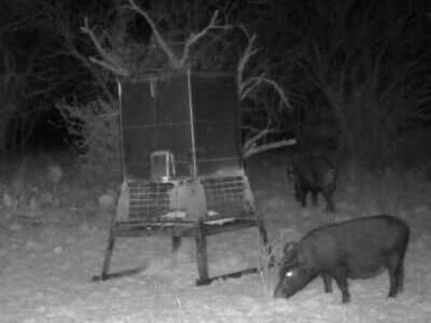 Property in McCulloch County, Texas