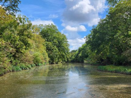 Property in Brown County, Texas