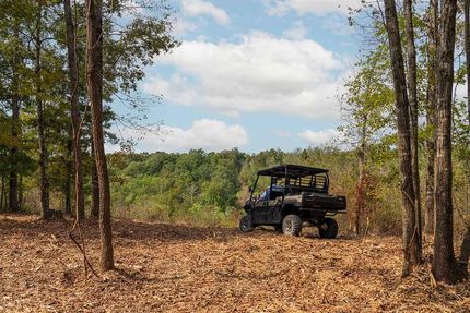 Property for sale in Stewart County, Tennessee