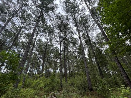 Property in Pike County, Mississippi