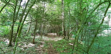 Property in Raleigh County, West Virginia