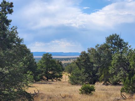 Property for sale in Catron County, New Mexico