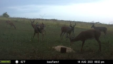 Property in Fremont County, Iowa