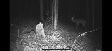 Property in Jackson County, Ohio