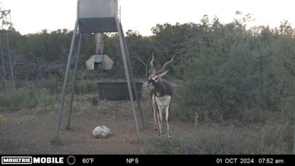 Property for sale in Edwards County, Texas